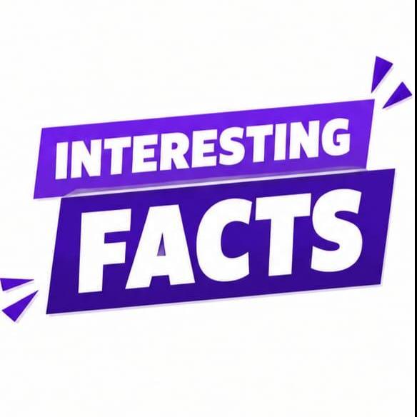 Interesting Facts